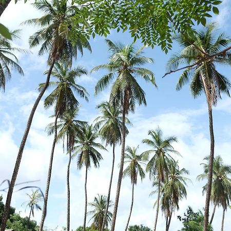 Centre Touristique Et Culturel Casamance Pensionat Diakene Ouolof Eksteriør billede