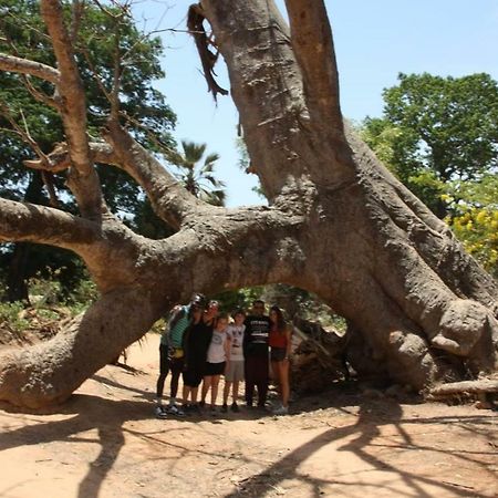 Centre Touristique Et Culturel Casamance Pensionat Diakene Ouolof Eksteriør billede