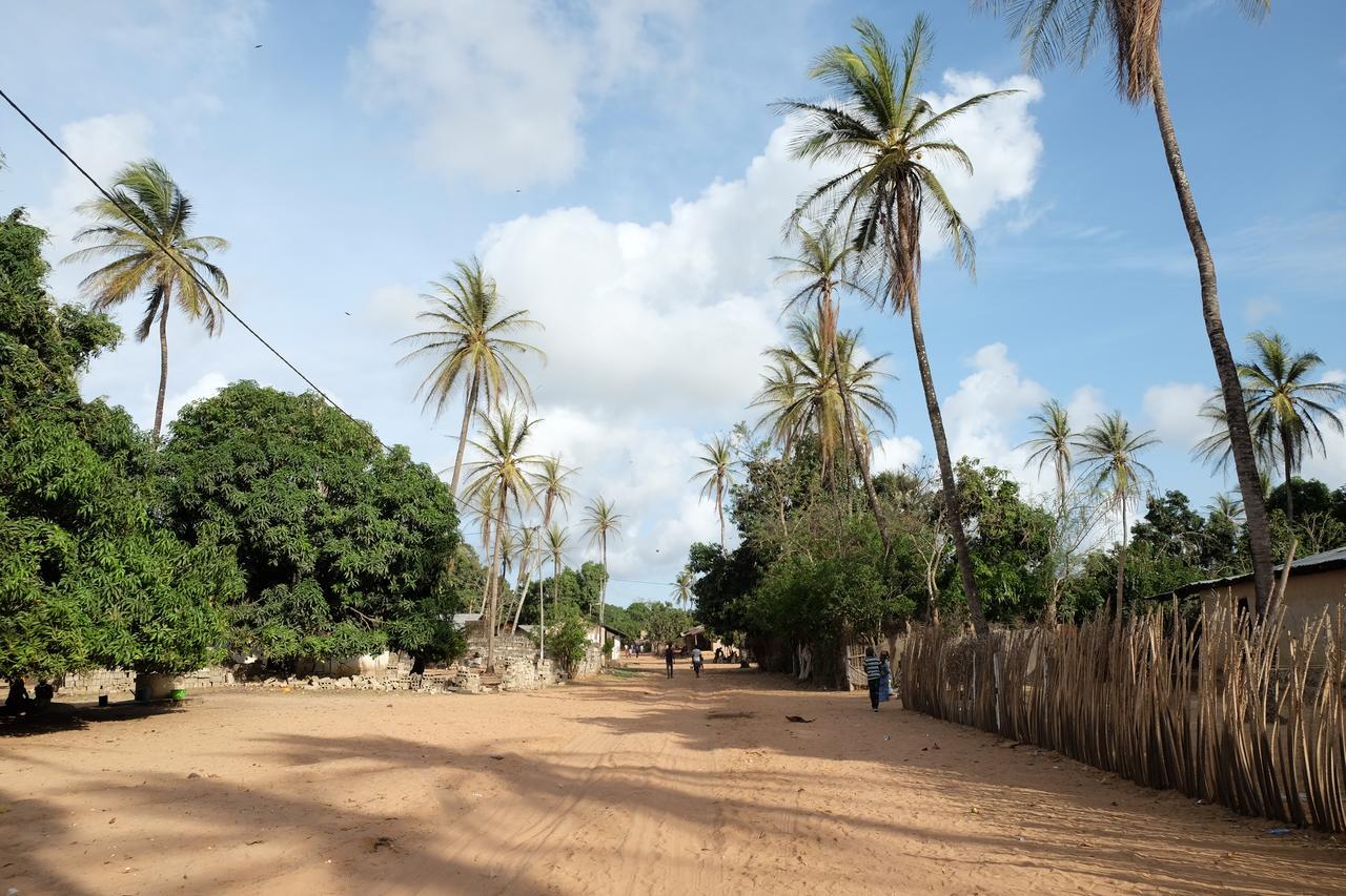 Centre Touristique Et Culturel Casamance Pensionat Diakene Ouolof Eksteriør billede