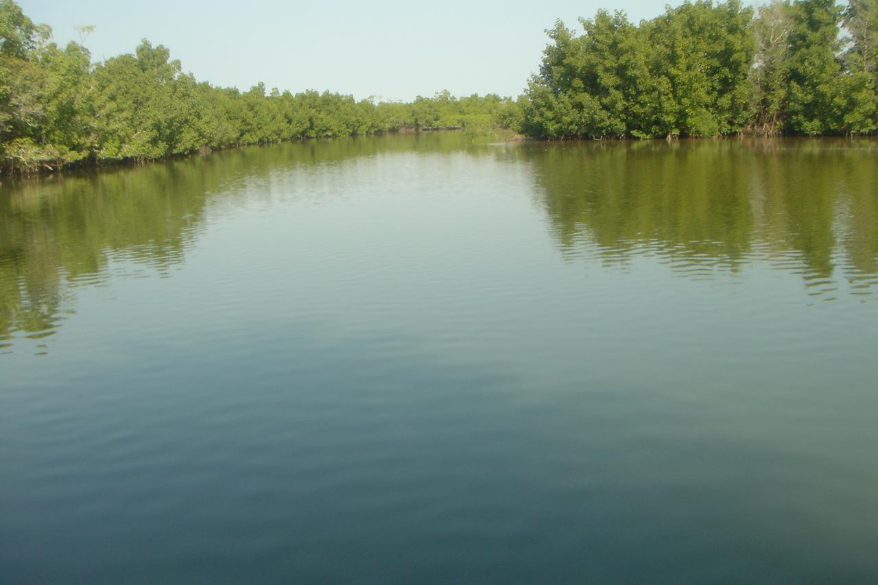 Centre Touristique Et Culturel Casamance Pensionat Diakene Ouolof Eksteriør billede