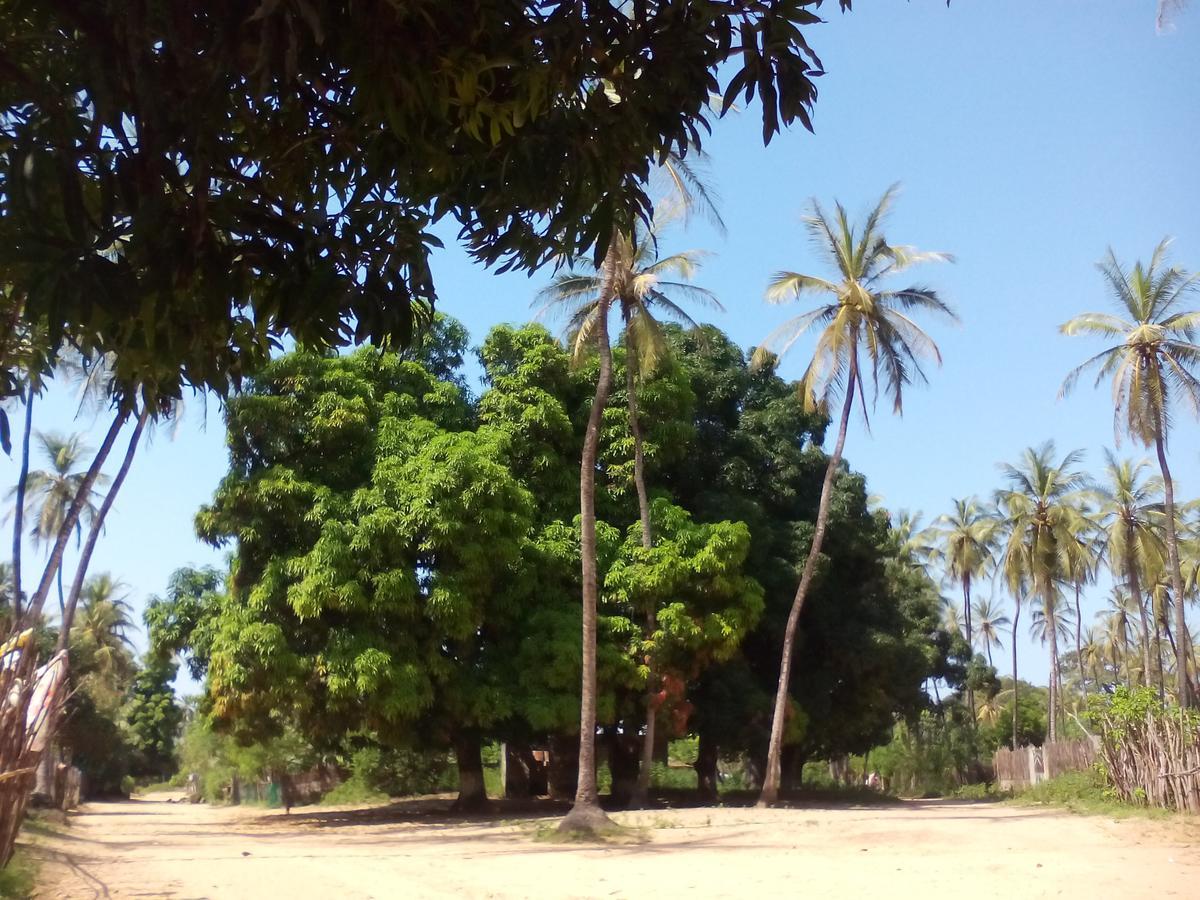 Centre Touristique Et Culturel Casamance Pensionat Diakene Ouolof Eksteriør billede