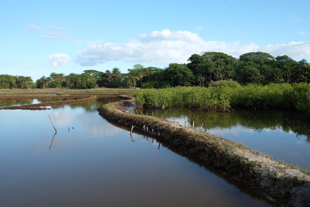 Centre Touristique Et Culturel Casamance Pensionat Diakene Ouolof Eksteriør billede