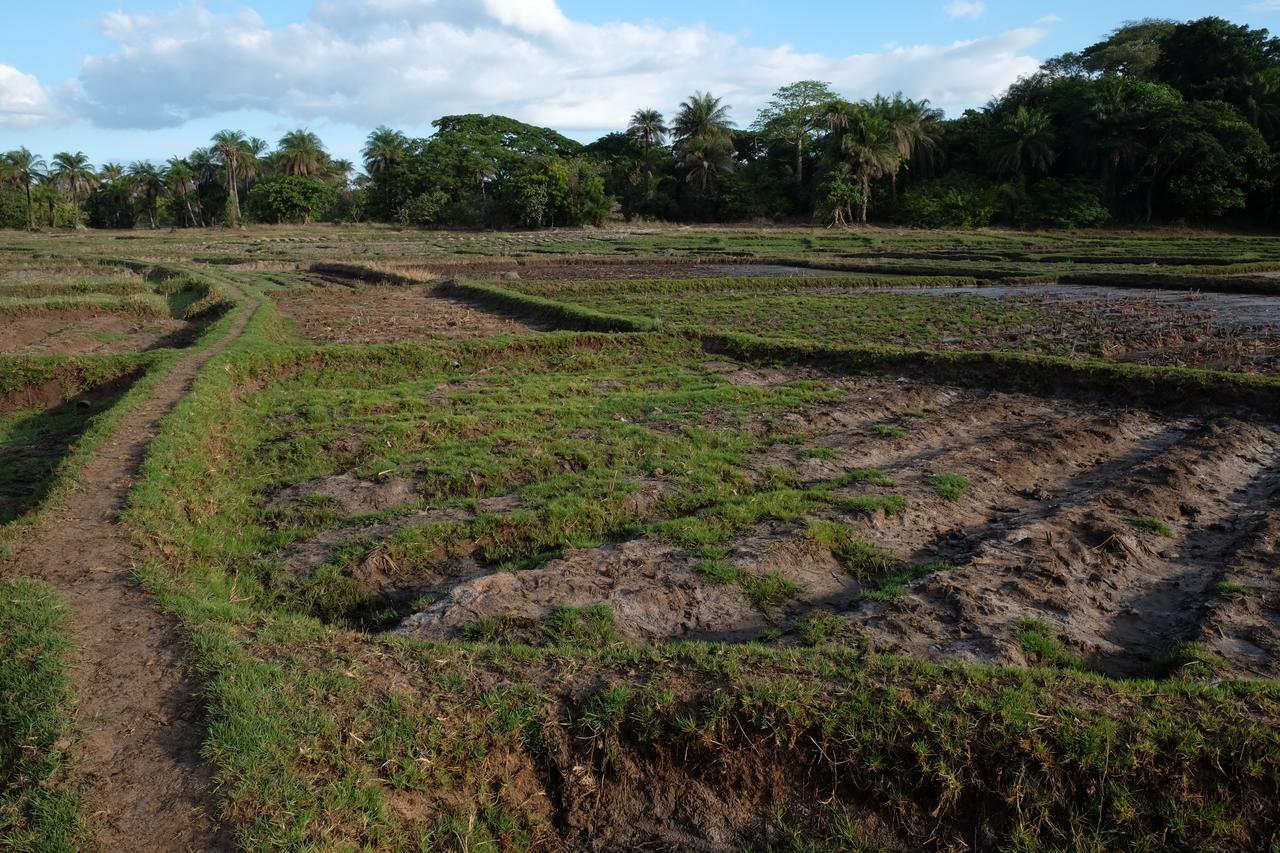 Centre Touristique Et Culturel Casamance Pensionat Diakene Ouolof Eksteriør billede