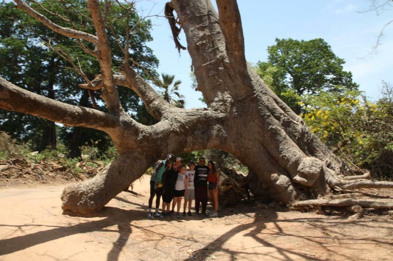 Centre Touristique Et Culturel Casamance Pensionat Diakene Ouolof Eksteriør billede