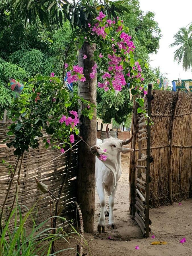Centre Touristique Et Culturel Casamance Pensionat Diakene Ouolof Eksteriør billede