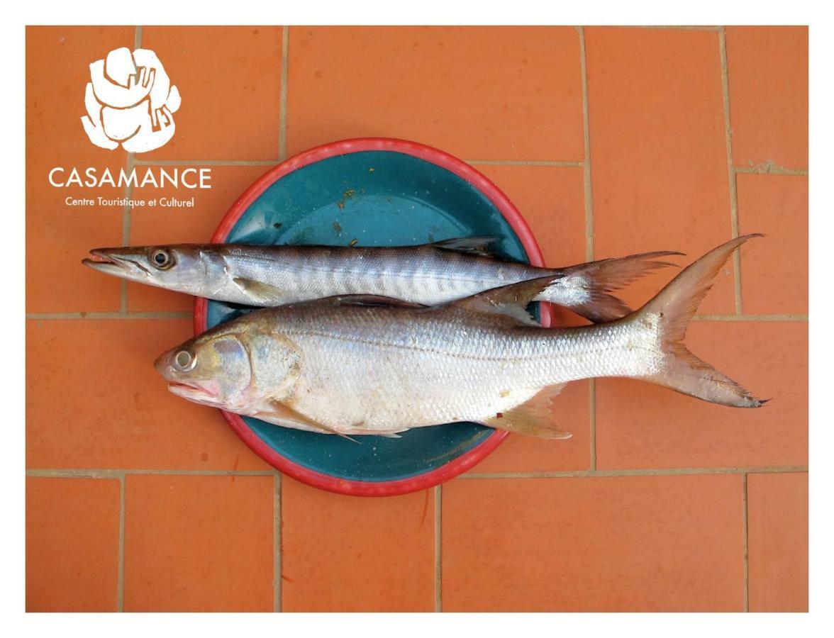 Centre Touristique Et Culturel Casamance Pensionat Diakene Ouolof Eksteriør billede